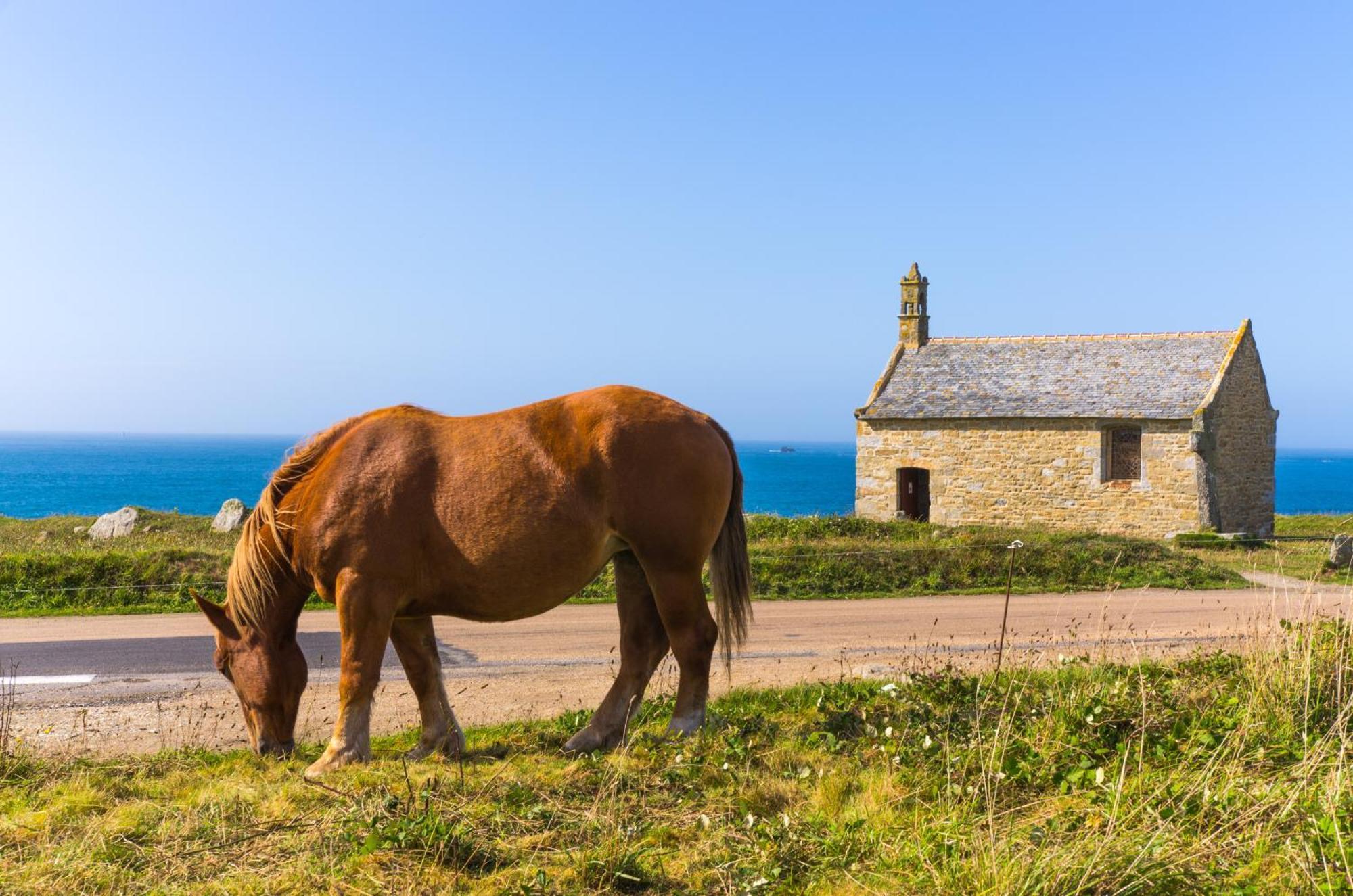 Ker Ildut - Grande Maison A 2 Pas De L'Aber Ildut Brélès Exterior foto